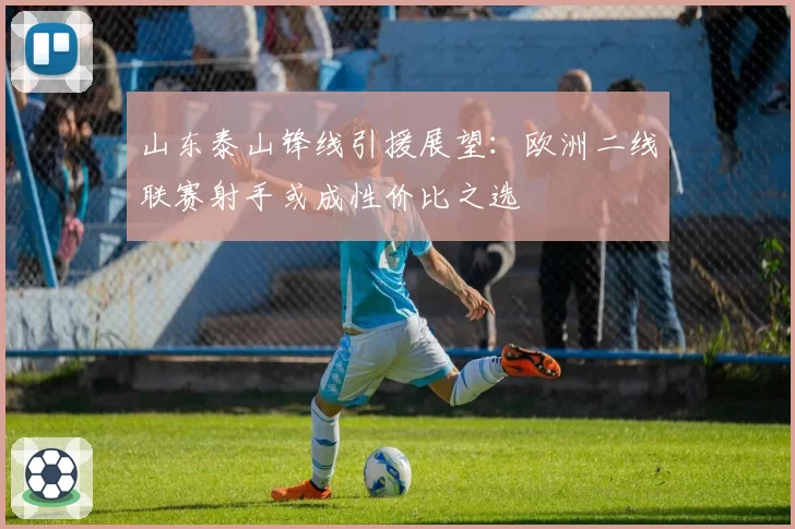 山东泰山锋线引援展望:欧洲二线联赛射手或成性价比之选