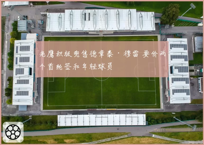 老鹰积极兜售德章泰·穆雷 要价两个首轮签和年轻球员