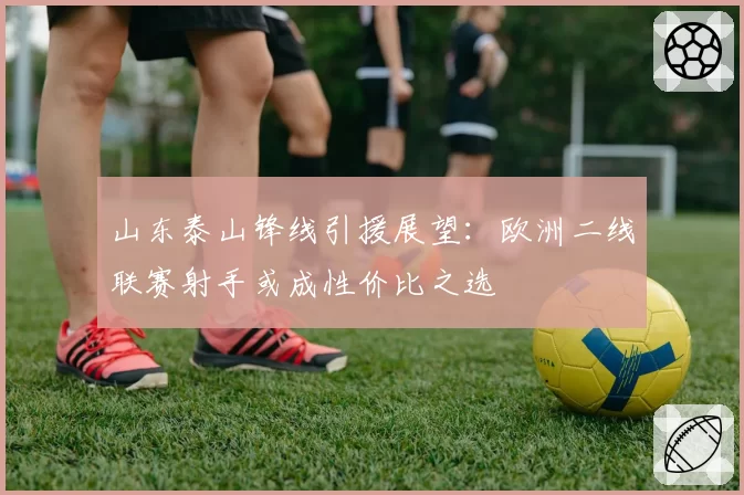山东泰山锋线引援展望：欧洲二线联赛射手或成性价比之选
