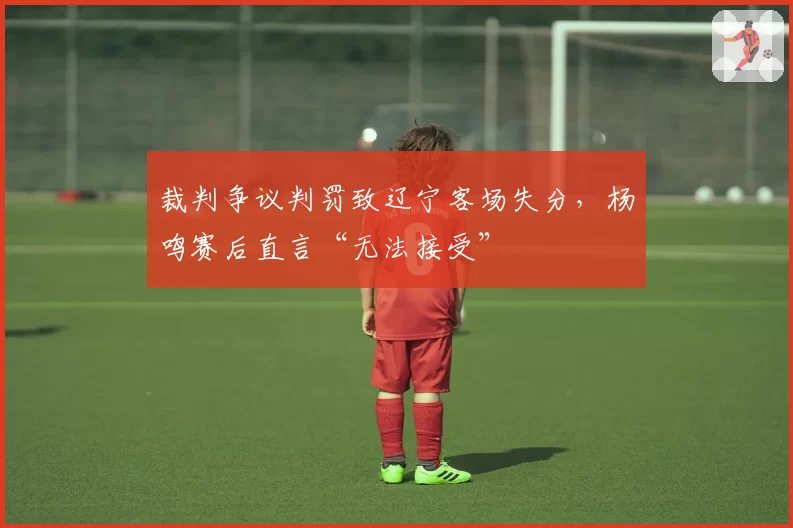 裁判争议判罚致辽宁客场失分，杨鸣赛后直言“无法接受”