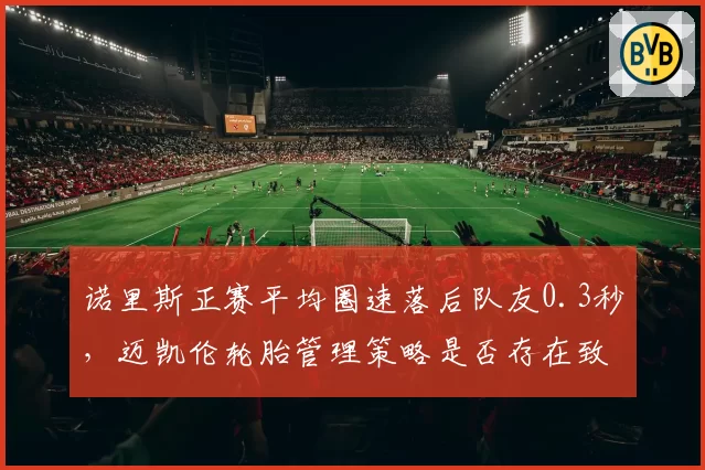 诺里斯正赛平均圈速落后队友0.3秒，迈凯伦轮胎管理策略是否存在致命漏洞？