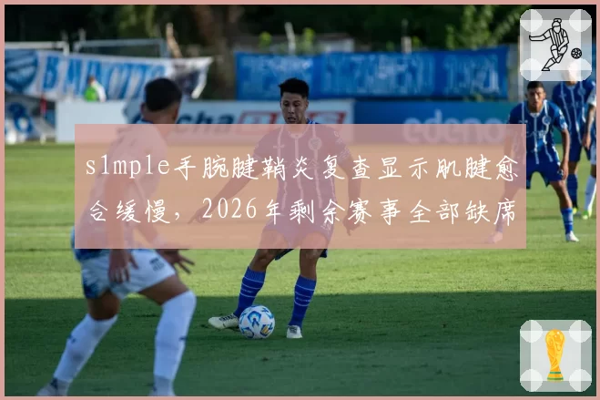 s1mple手腕腱鞘炎复查显示肌腱愈合缓慢，2026年剩余赛事全部缺席