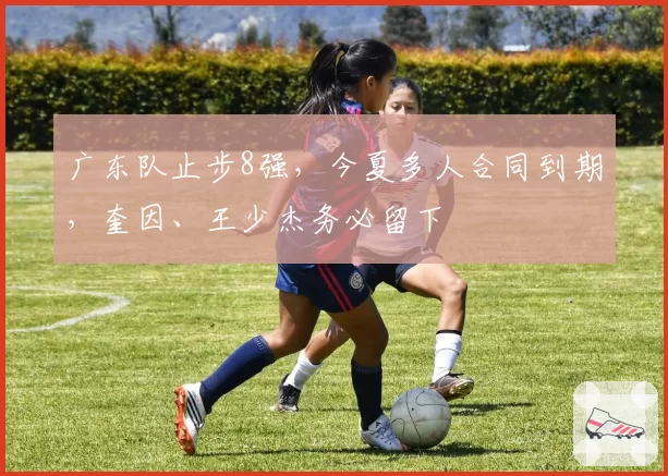 广东队止步8强,今夏多人合同到期,奎因、王少杰务必留下